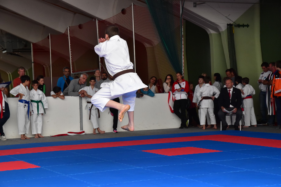 2017-05-20_Shotokan-OEM_1136.jpg