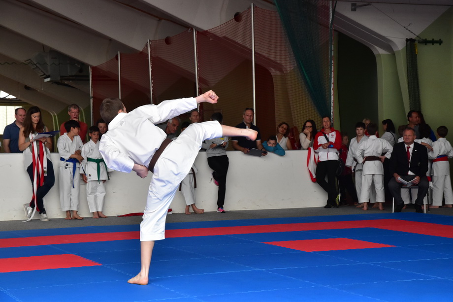 2017-05-20_Shotokan-OEM_1138.jpg