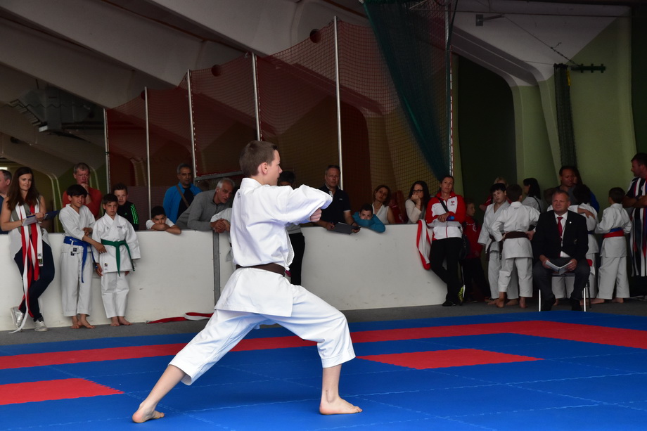 2017-05-20_Shotokan-OEM_1139.jpg