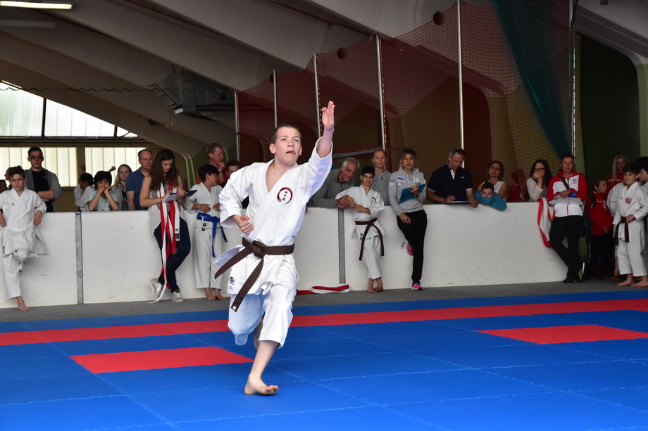 2017-05-20_Shotokan-OEM_1141.jpg