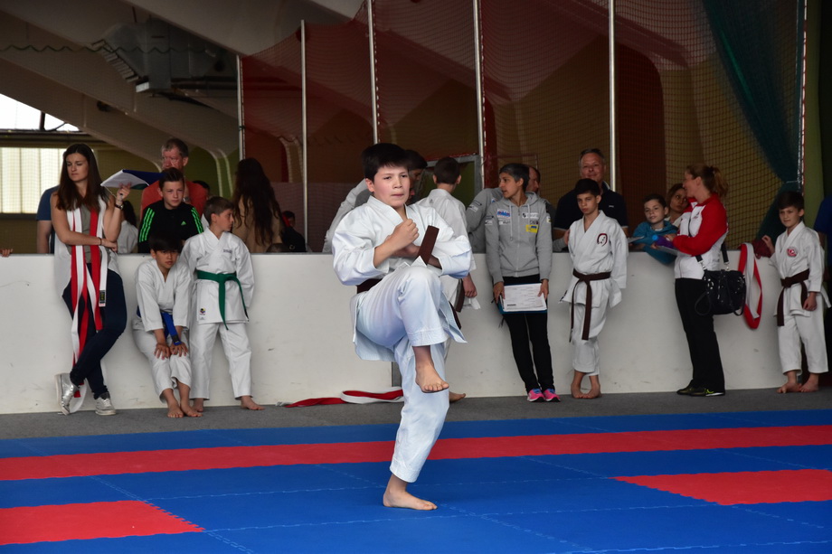 2017-05-20_Shotokan-OEM_1148.jpg