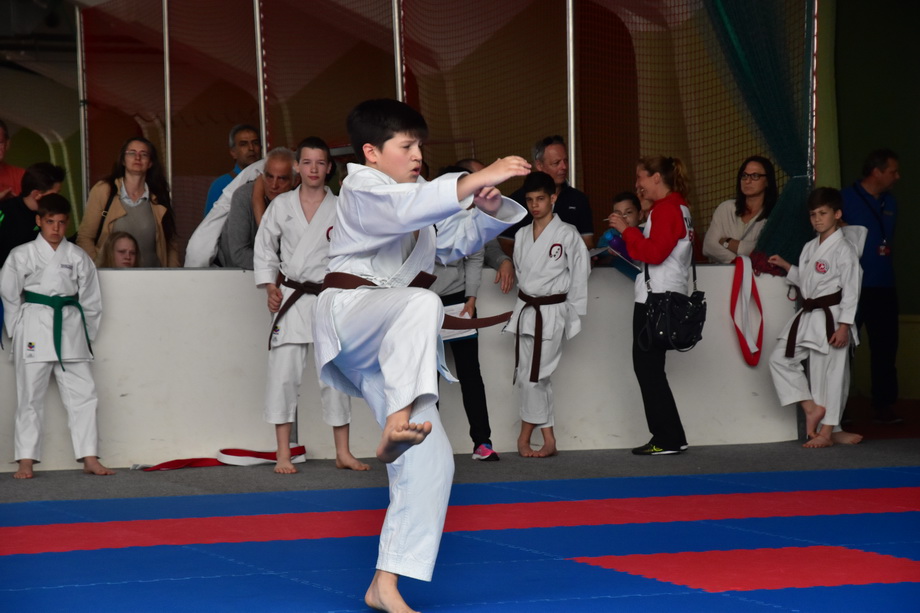 2017-05-20_Shotokan-OEM_1149.jpg