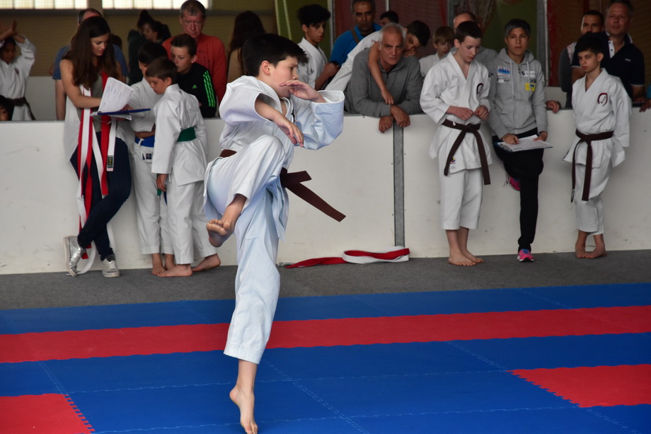 2017-05-20_Shotokan-OEM_1150.jpg
