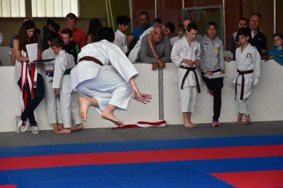 2017-05-20_Shotokan-OEM_1151.jpg