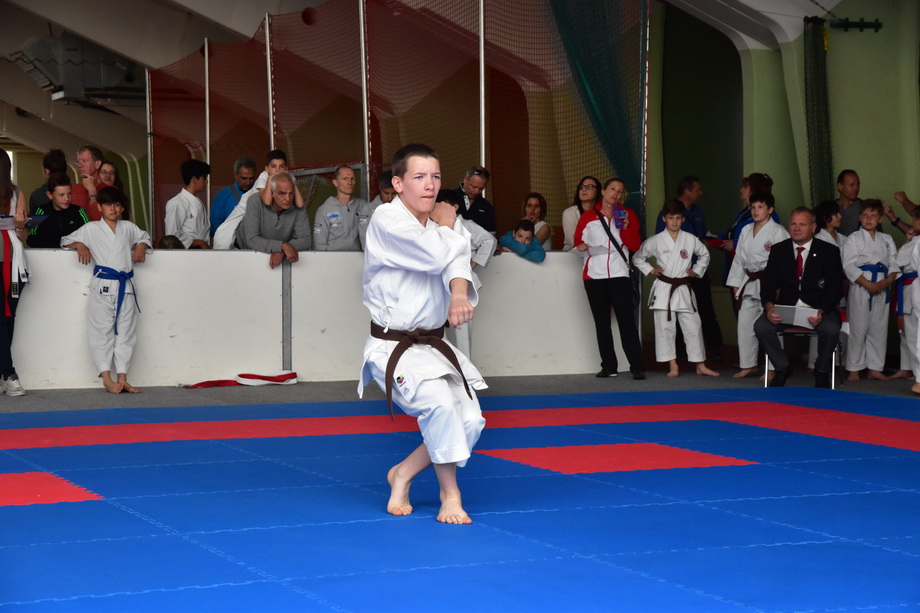 2017-05-20_Shotokan-OEM_1154.jpg