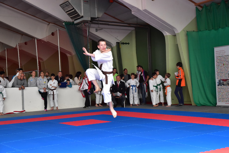 2017-05-20_Shotokan-OEM_1159.jpg