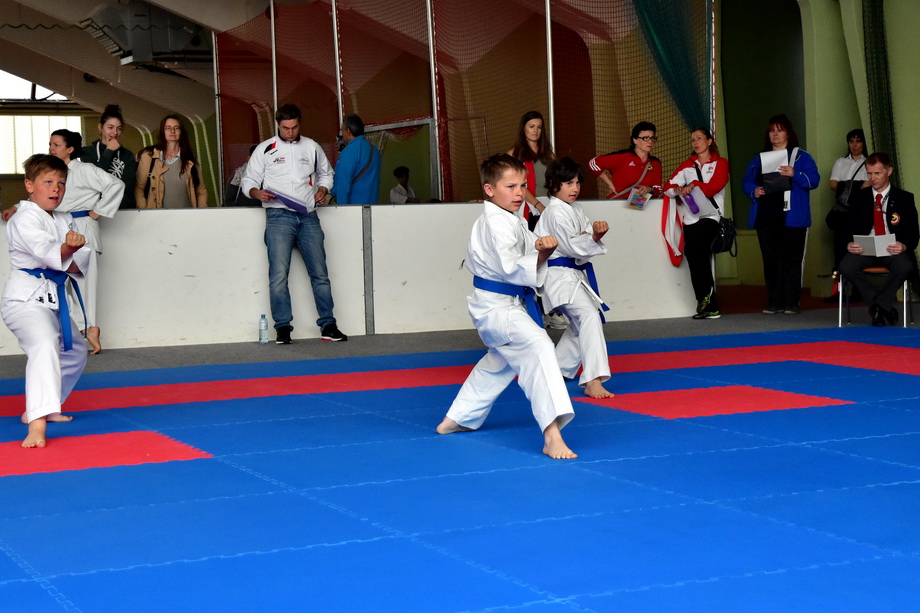 2017-05-20_Shotokan-OEM_1162.jpg