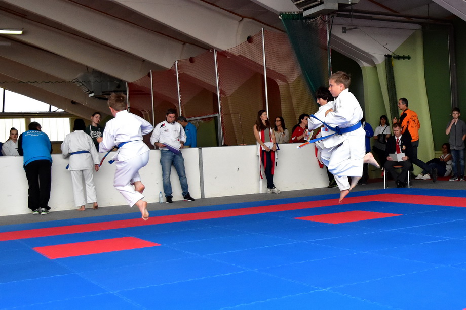 2017-05-20_Shotokan-OEM_1163.jpg