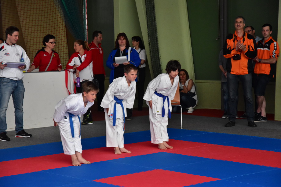 2017-05-20_Shotokan-OEM_1164.jpg