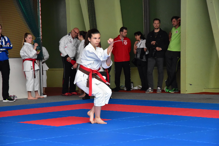 2017-05-20_Shotokan-OEM_1168.jpg