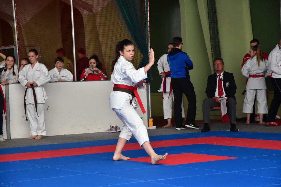 2017-05-20_Shotokan-OEM_1170.jpg
