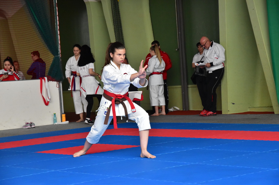 2017-05-20_Shotokan-OEM_1171.jpg