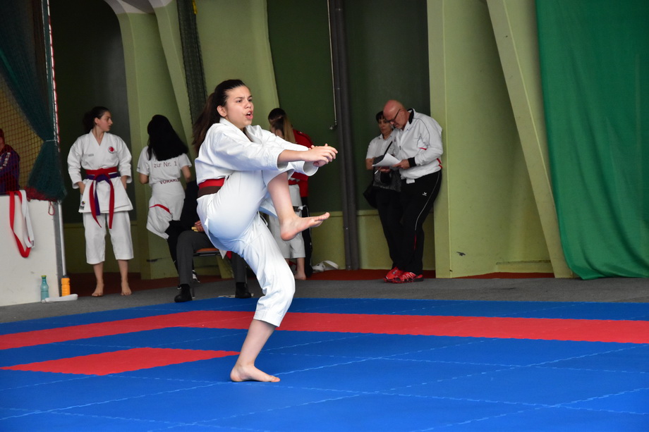 2017-05-20_Shotokan-OEM_1172.jpg