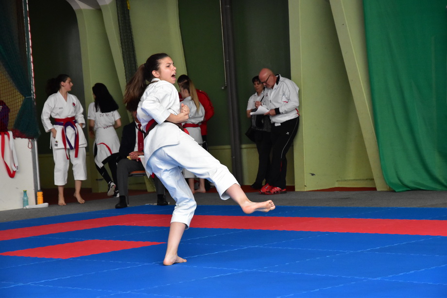 2017-05-20_Shotokan-OEM_1173.jpg