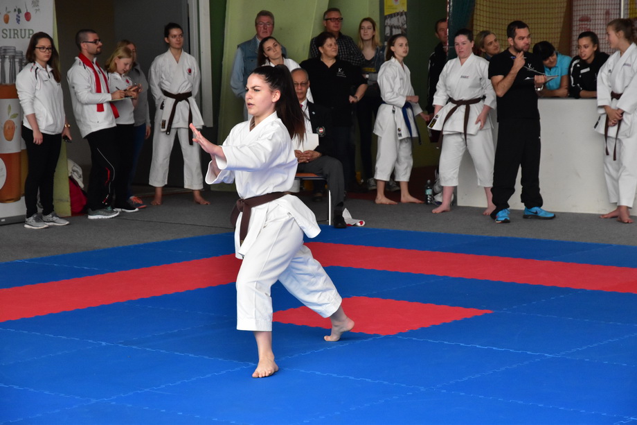 2017-05-20_Shotokan-OEM_1177.jpg