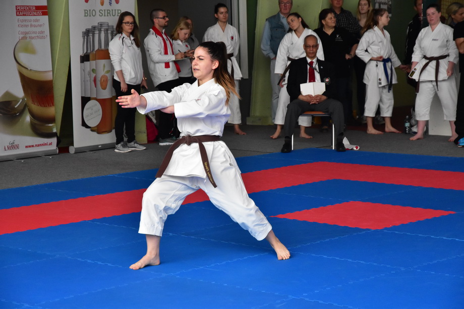 2017-05-20_Shotokan-OEM_1178.jpg