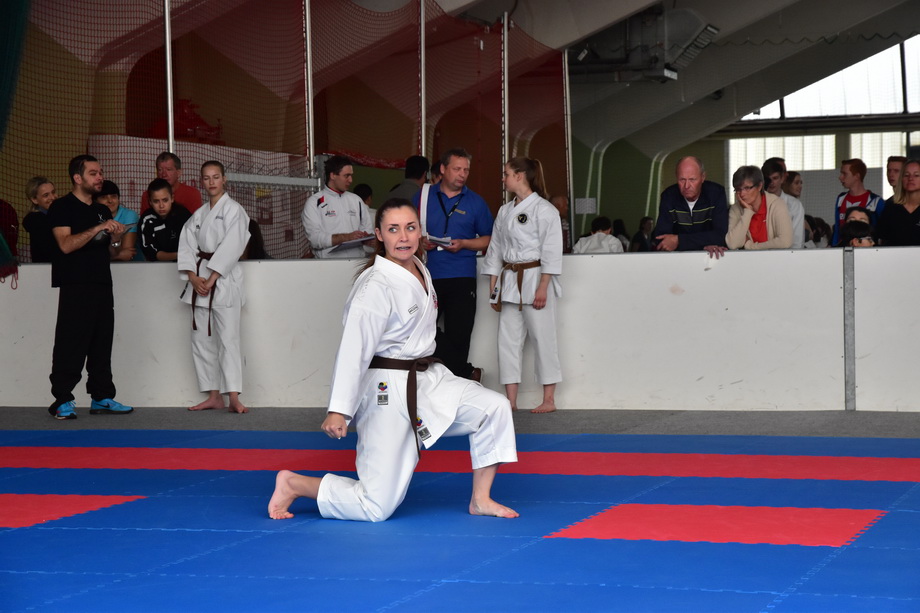 2017-05-20_Shotokan-OEM_1181.jpg