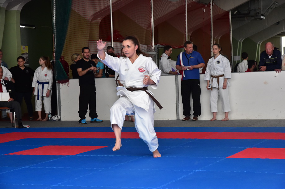 2017-05-20_Shotokan-OEM_1182.jpg