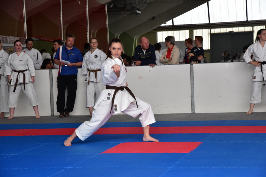 2017-05-20_Shotokan-OEM_1187.jpg