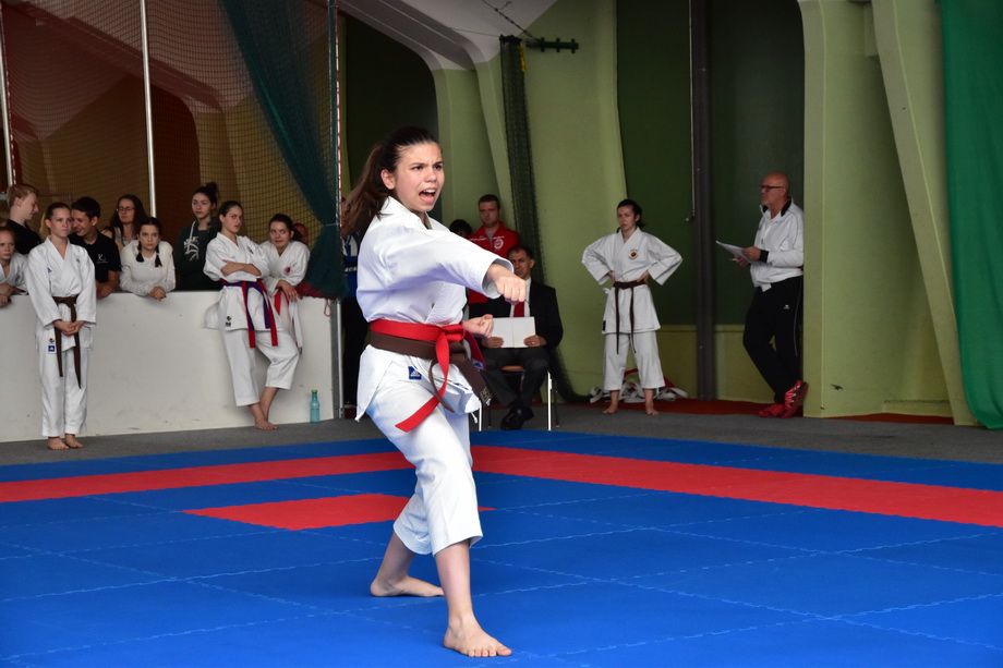 2017-05-20_Shotokan-OEM_1192.jpg