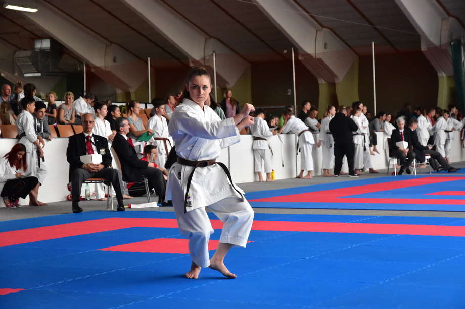 2017-05-20_Shotokan-OEM_1194.jpg