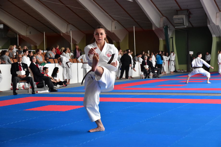 2017-05-20_Shotokan-OEM_1196.jpg