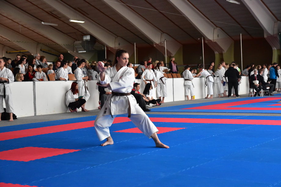 2017-05-20_Shotokan-OEM_1197.jpg