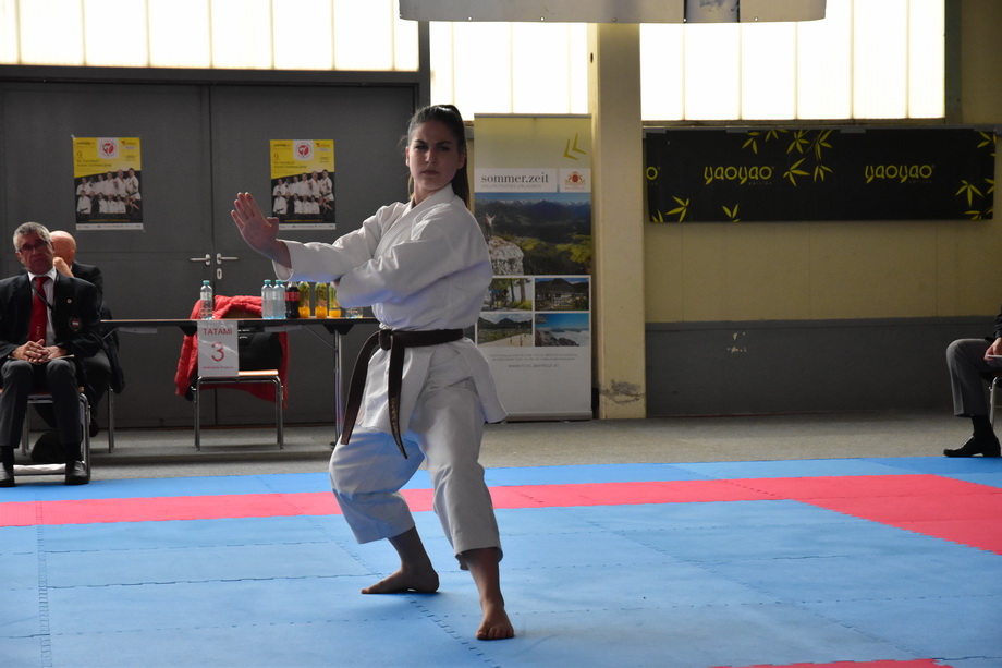 2017-05-20_Shotokan-OEM_1198.jpg