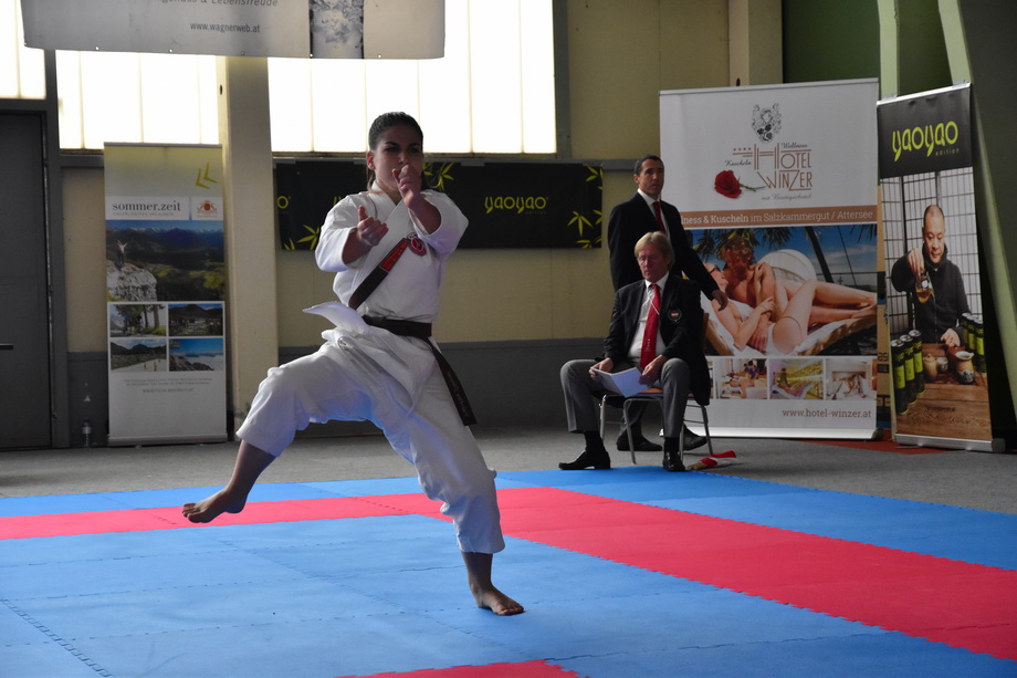 2017-05-20_Shotokan-OEM_1200.jpg