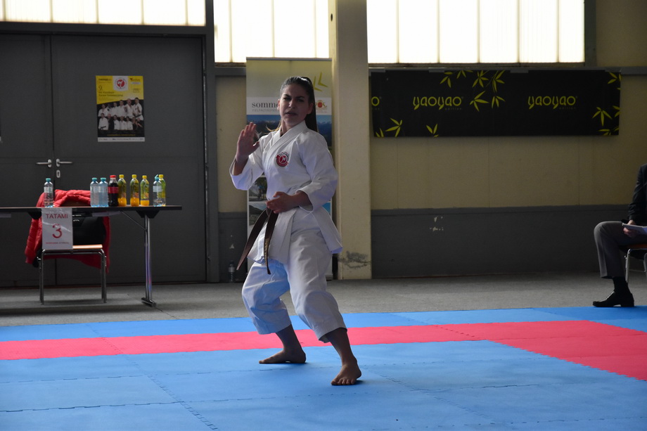 2017-05-20_Shotokan-OEM_1201.jpg