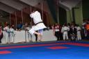 2017-05-20_Shotokan-OEM_1136.jpg