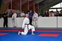 2017-05-20 Shotokan-OEM 1181