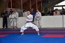2017-05-20_Shotokan-OEM_1185.jpg
