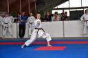 2017-05-20_Shotokan-OEM_1187.jpg