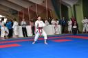 2017-05-20_Shotokan-OEM_1193.jpg