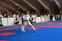 2017-05-20_Shotokan-OEM_1197.jpg
