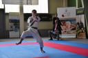 2017-05-20_Shotokan-OEM_1200.jpg