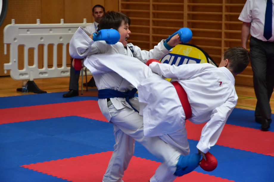 2017-06-25_AJO_0118.jpg