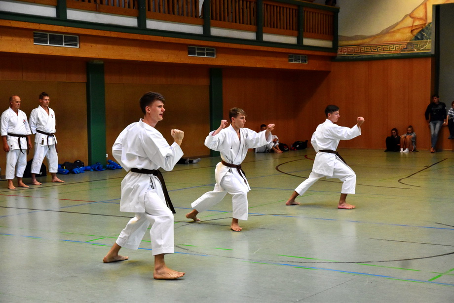 2018-07-18_Trainingslehrgang-Guertelpruefung_Wagrain_5003.jpg