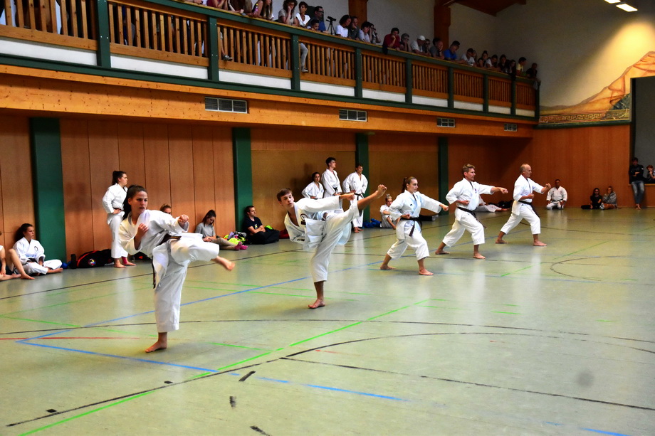 2018-07-18_Trainingslehrgang-Guertelpruefung_Wagrain_5005.jpg