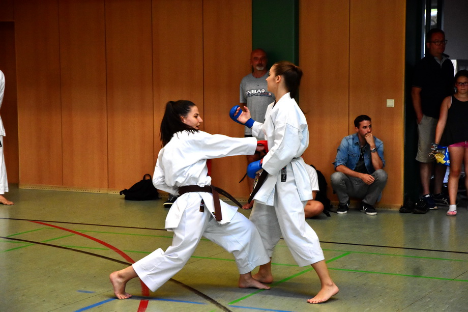 2018-07-18_Trainingslehrgang-Guertelpruefung_Wagrain_5013.jpg