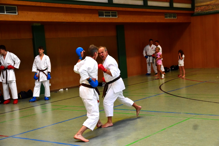 2018-07-18_Trainingslehrgang-Guertelpruefung_Wagrain_5016.jpg