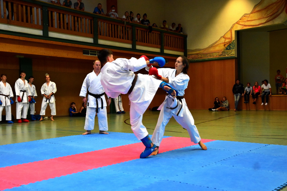 2018-07-18_Trainingslehrgang-Guertelpruefung_Wagrain_5024.jpg