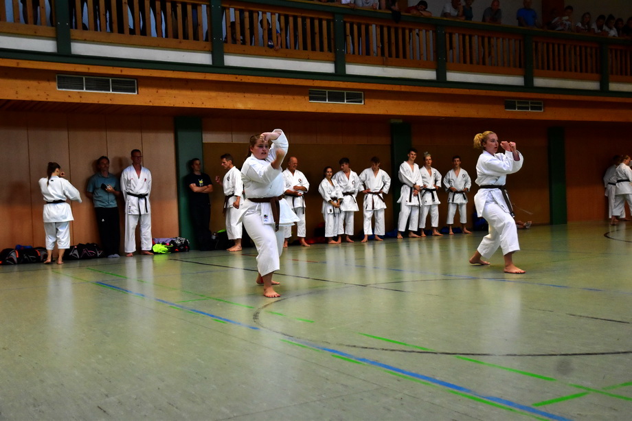 2018-07-18_Trainingslehrgang-Guertelpruefung_Wagrain_5039.jpg