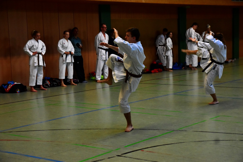 2018-07-18_Trainingslehrgang-Guertelpruefung_Wagrain_5046.jpg