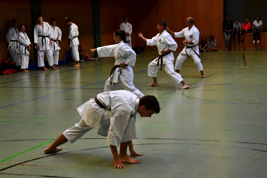 2018-07-18_Trainingslehrgang-Guertelpruefung_Wagrain_5049.jpg