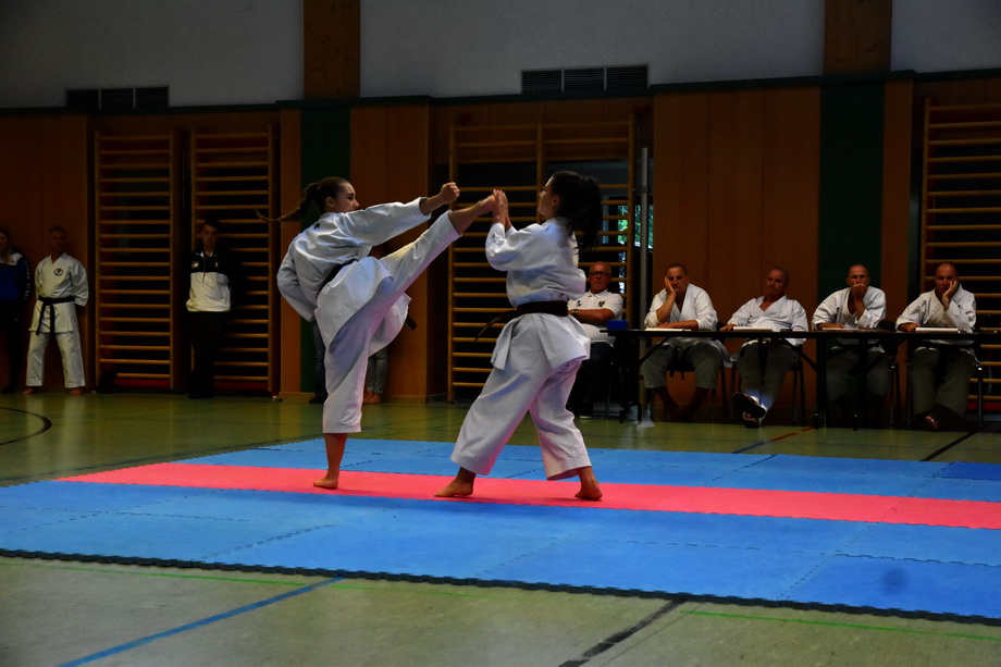 2018-07-18_Trainingslehrgang-Guertelpruefung_Wagrain_5060.jpg