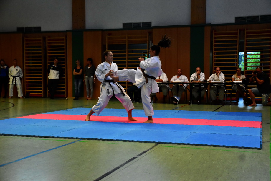 2018-07-18_Trainingslehrgang-Guertelpruefung_Wagrain_5061.jpg