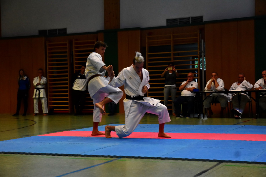 2018-07-18_Trainingslehrgang-Guertelpruefung_Wagrain_5063.jpg