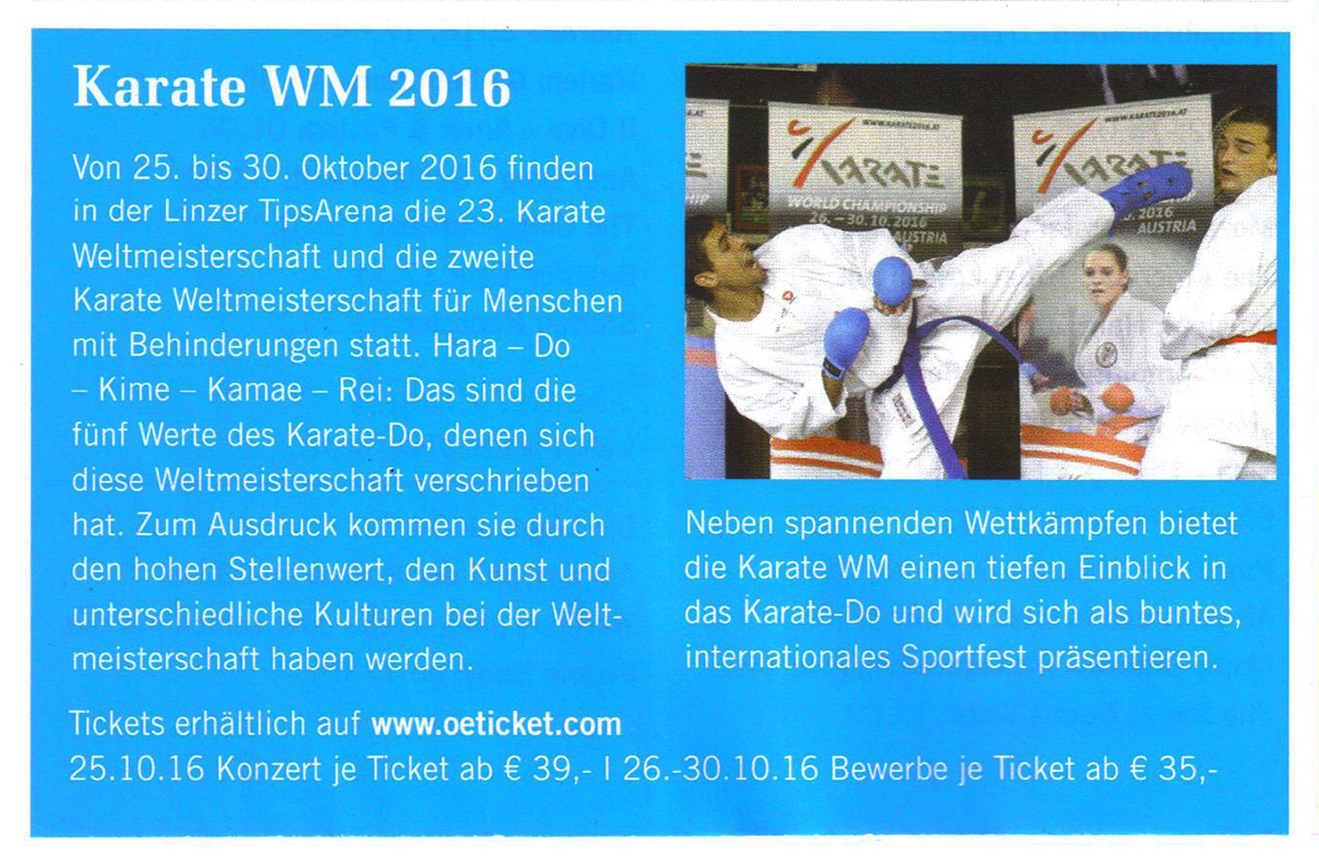 2016-02-02_Linz-Veraendert-Magazin_Karate-WM.jpg